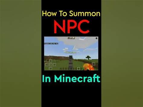 How To Summon Npc In Minecraft Java 1.17