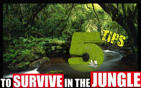 5 Tips on how To Survive in the Jungle hubpages