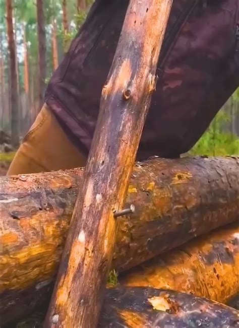 How to survive a forest fire Go Explore Croatia