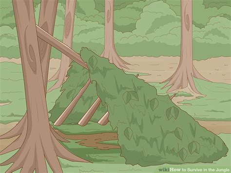 5 Easy Ways to Survive in the Jungle wikiHow