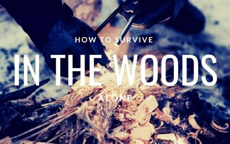 What are some ways to survive in the woods for a year? Quora
