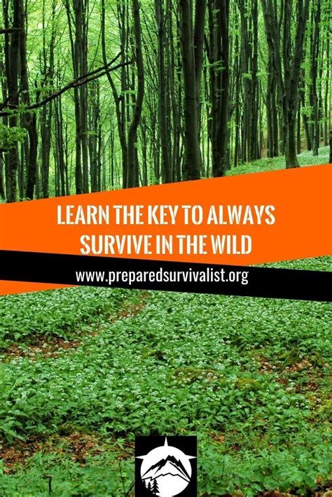 How to Survive in The Wild The Basic Knowledge You Need to Survive
