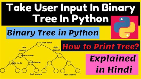 how to take binary input in python