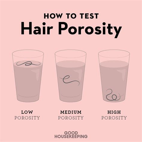 Fresh How To Take Care Of High Porosity Hair Reddit For Bridesmaids