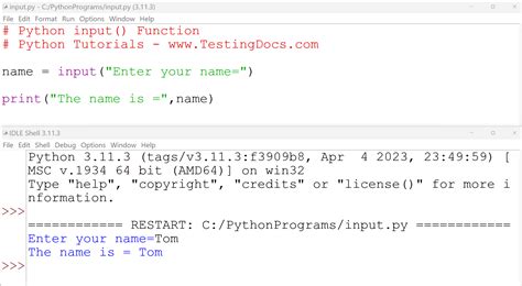 how to take input in python function
