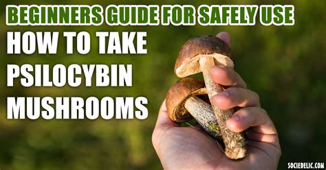 how to take mushrooms psychedelic