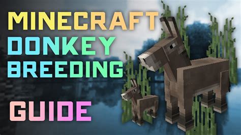 How To Tame A Donkey In Minecraft Java