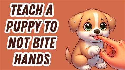 how to teach a dog not to bite hands