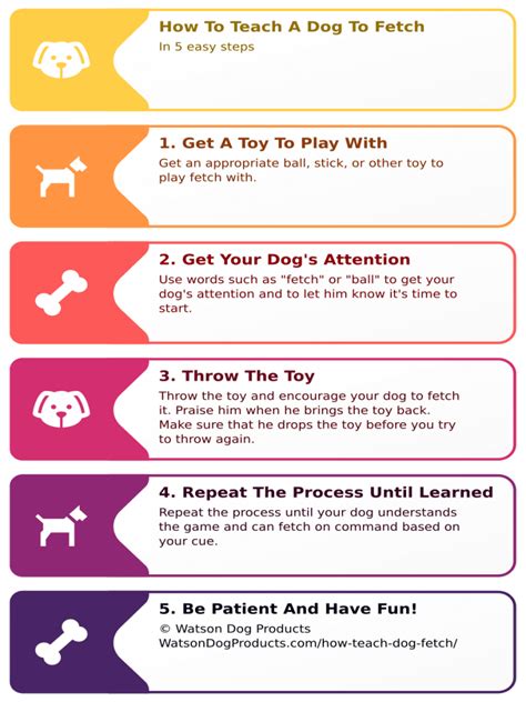 How to Teach a Dog to Fetch 6 Steps Love Of A Pet Teach dog to