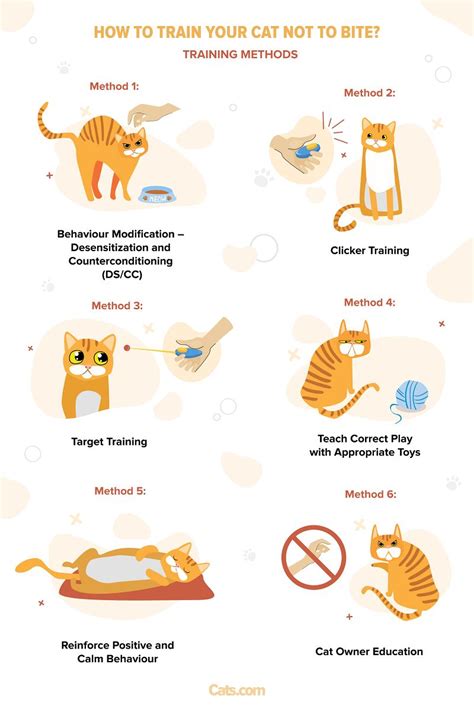 how to teach your cat not to bite and scratch