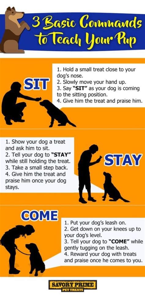 how to teach your dog the middle.command