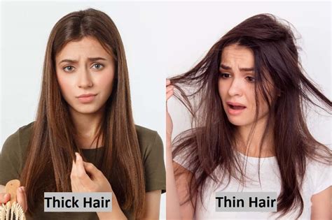  79 Ideas How To Tell If Your Hair Is Thick Or Thin With Simple Style