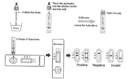 how to test for the norovirus