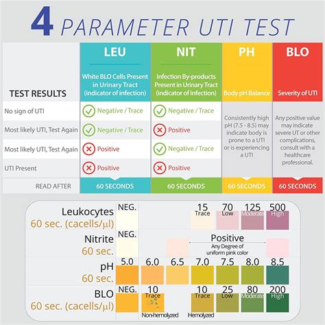 How to Test for UTI at Home and When to See a Doctor