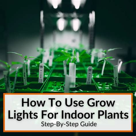 How To Test Grow Lights