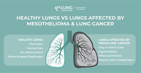 how to test if you have healthy lungs