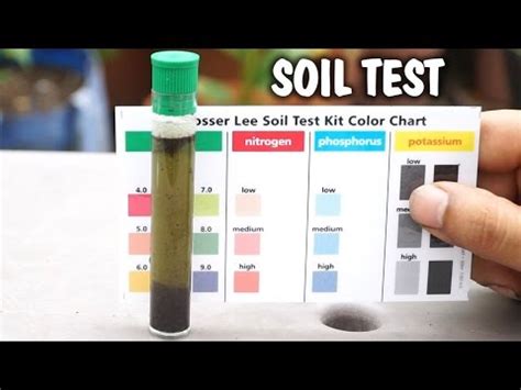 How To Test Soil Ph Nutrients