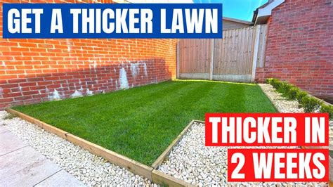 How To Thicken Grass In Spring