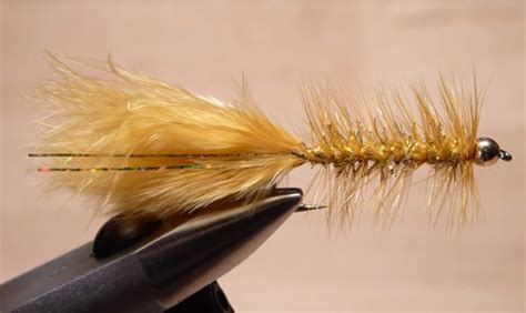 How To Tie A Wooly Bugger Orvis