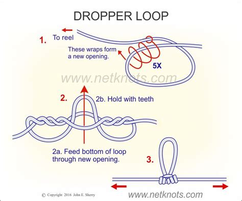 How To Tie Double Dropper Loop