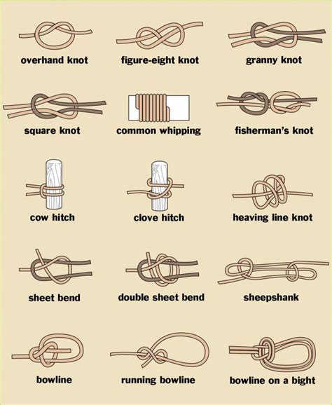 how to tie various knots