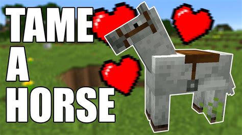 how to tp a horse in minecraft