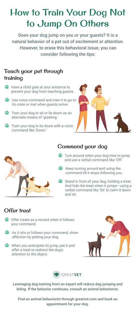 How To Train A Dog Not To Jump And Nip