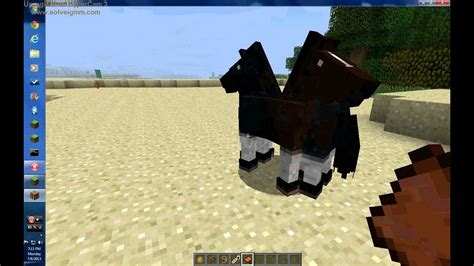 how to train a horse on minecraft