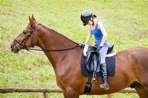 how to train a horse to ride