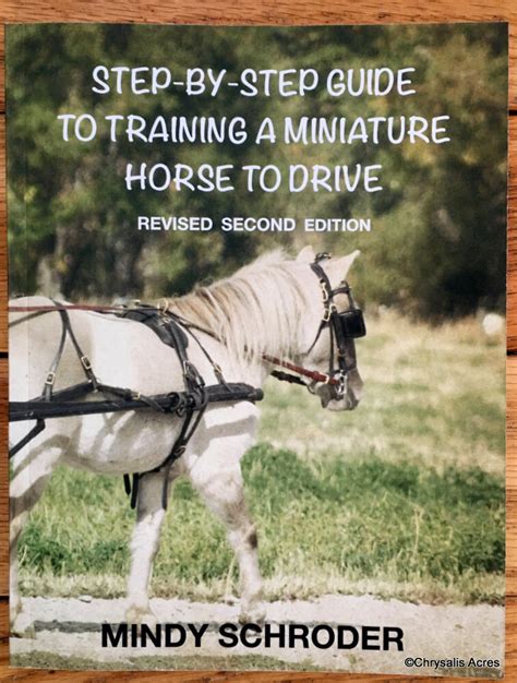 how to train a miniature horse to drive