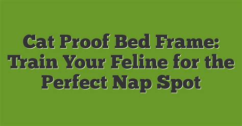 How To Train Cat To Not Sleep In Bedroom