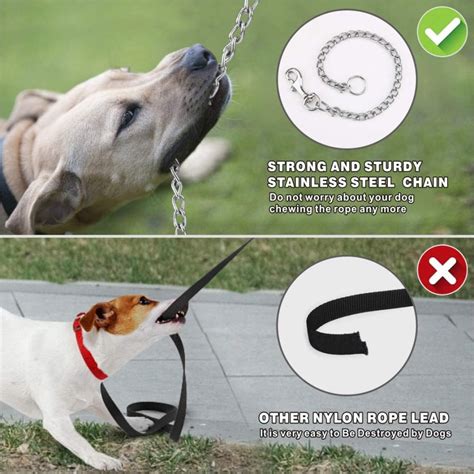 how to train dog not to chew on leash