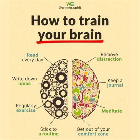 how to train my brain to study