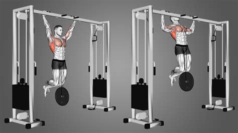 How To Train Weighted Pull Ups
