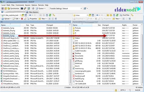 how to transfer files using winscp command line