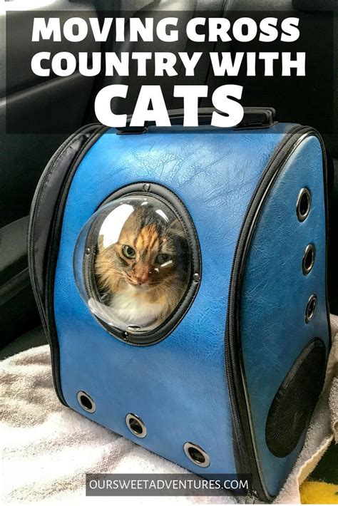 how to travel cross country with cats