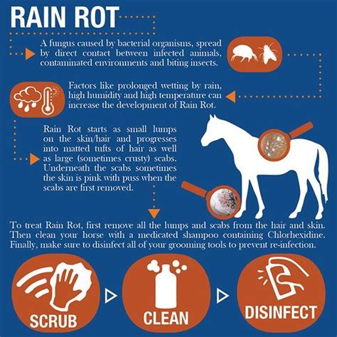 how to treat botulism in horses