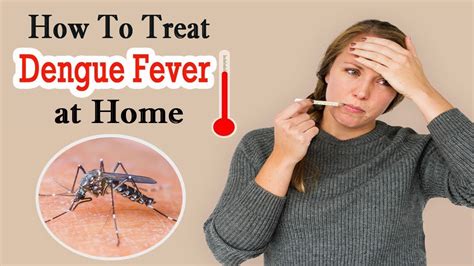 how to treat dengue fever