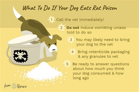 how to treat dog poisoning at home