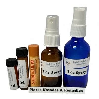 how to treat lyme disease in horses