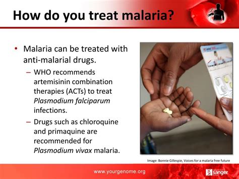 how to treat malaria
