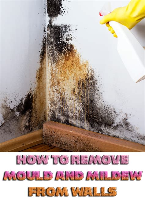 how to treat mildew on bathroom walls