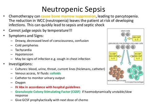 how to treat neutropenic sepsis