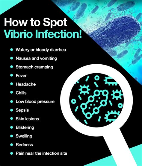 how to treat vibrio vulnificus