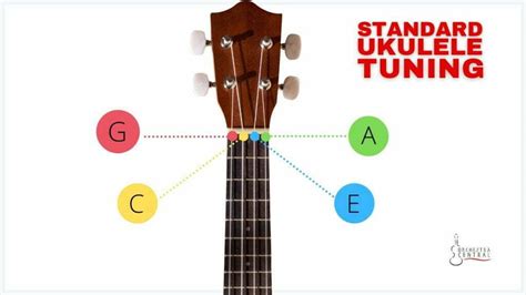 How To Tune A Ukulele To C