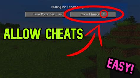 How To Turn Off Cheats In Minecraft Java
