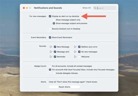 how to turn off email notifications on macbook