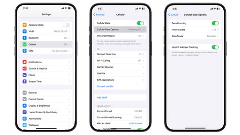 how to turn on cellular data roaming on iphone 14