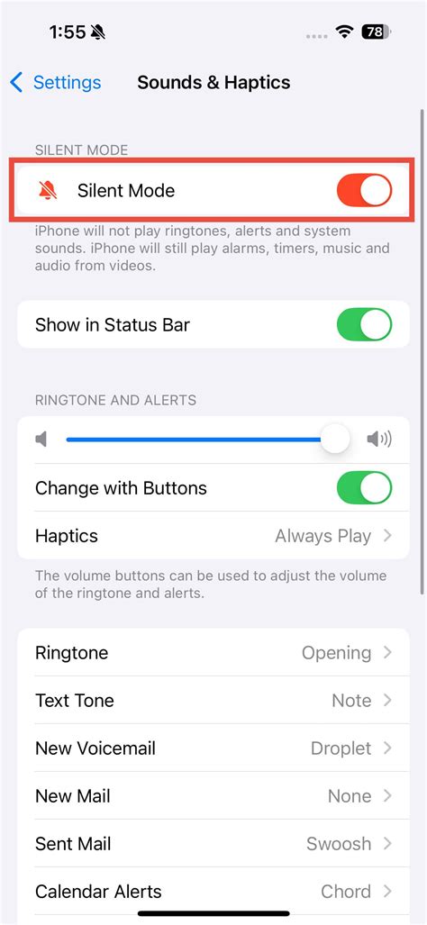 how to turn on silent mode in settings