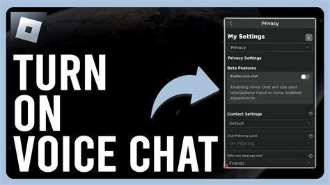 how to turn on voice chat in roblox ps4